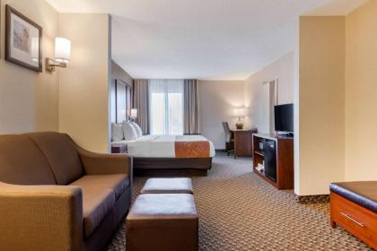 Comfort Suites South Haven - image 9