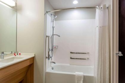 Microtel Inn Suites by Wyndham South Hill - image 12