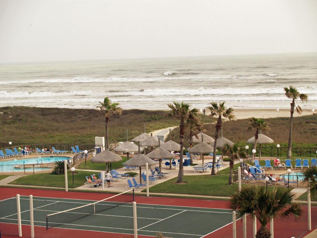 Saida - image 3