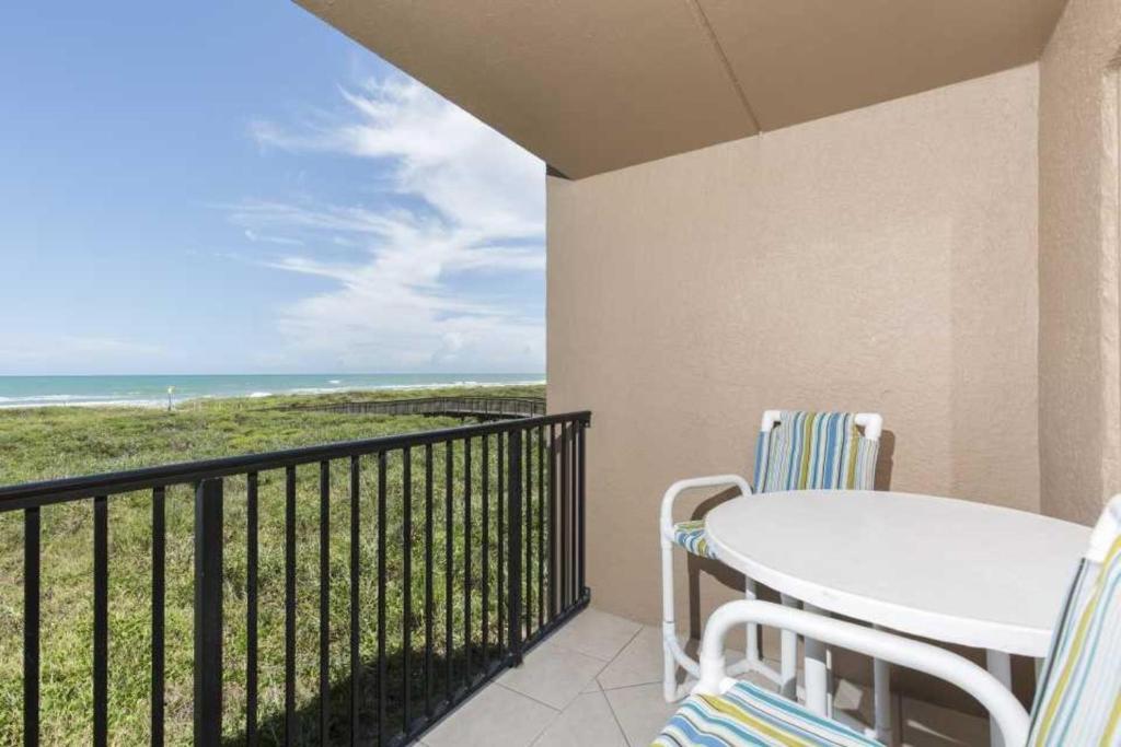 Seagull 202 by Padre Island Rentals - image 4