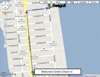 Seagull 202 by Padre Island Rentals - image 5