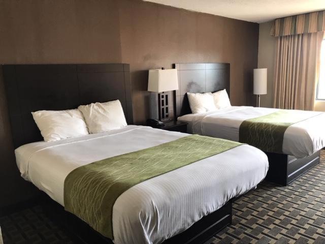 Americas Best Value Inn Kimball - image 3