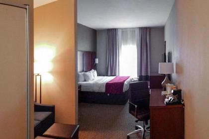 Comfort Suites South Point - Huntington - image 6
