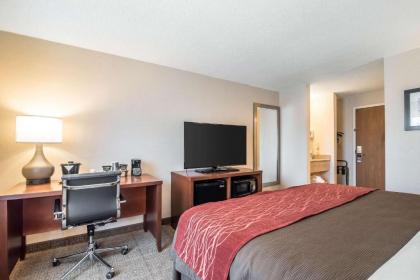 Comfort Inn Airport - image 10