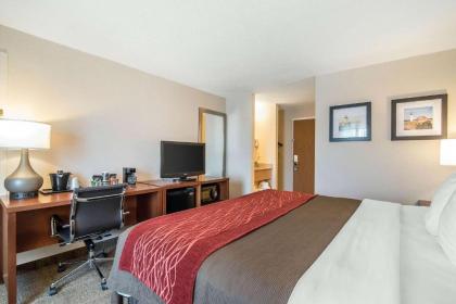 Comfort Inn Airport - image 12