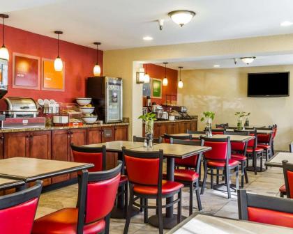 Comfort Inn Airport - image 13