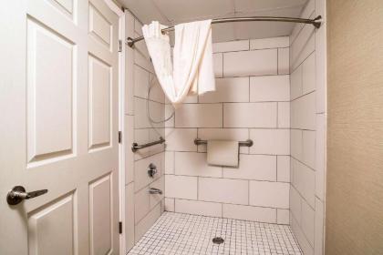 Comfort Inn Airport - image 14