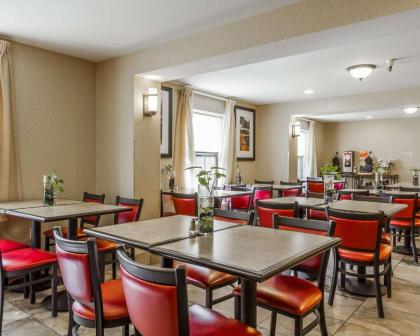 Comfort Inn Airport - image 2