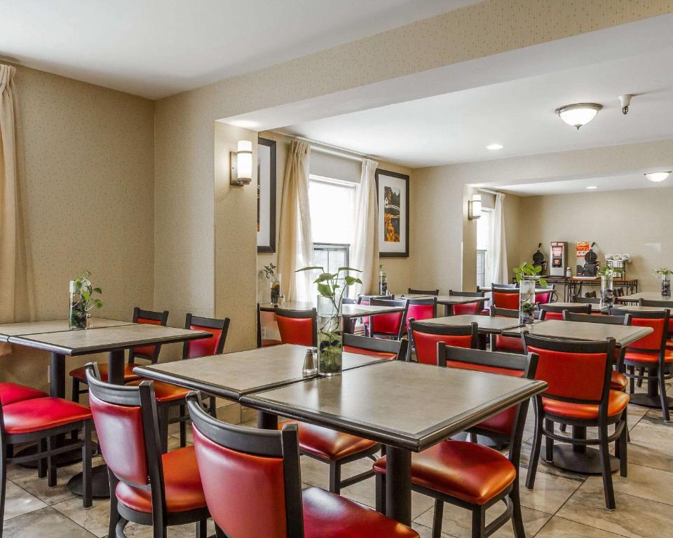 Comfort Inn Airport - image 2