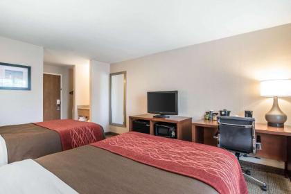 Comfort Inn Airport - image 3