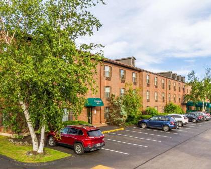 Comfort Inn Airport - image 4