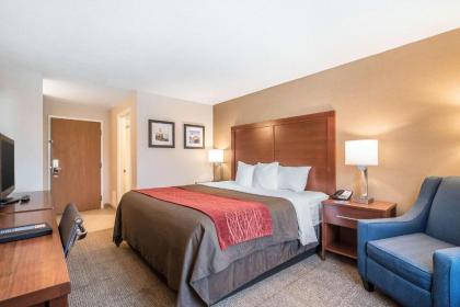 Comfort Inn Airport - image 5