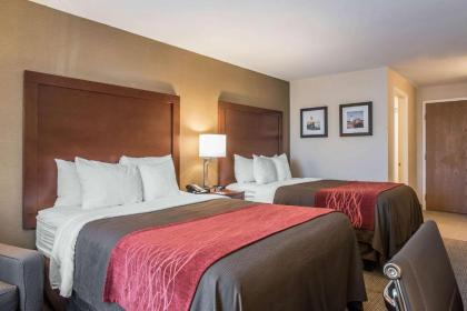 Comfort Inn Airport - image 6
