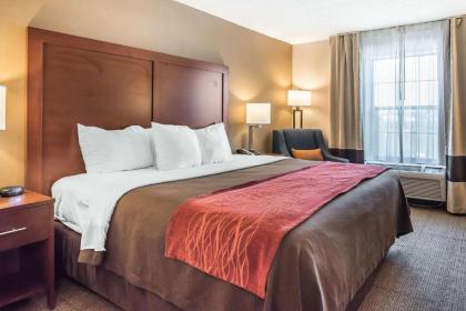 Comfort Inn Airport - image 7