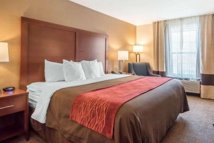 Comfort Inn Airport - image 9