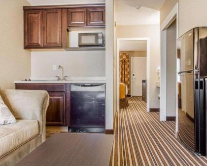 Quality Inn & Suites - image 12