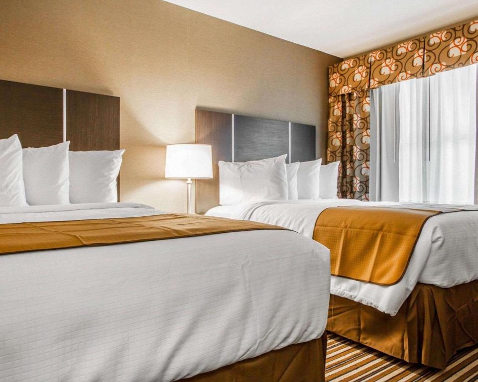 Quality Inn & Suites - image 4