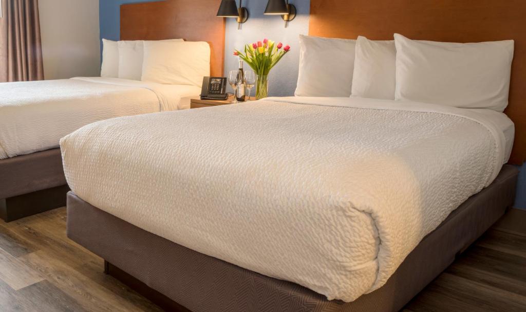 Hotel Focus SFO - image 3