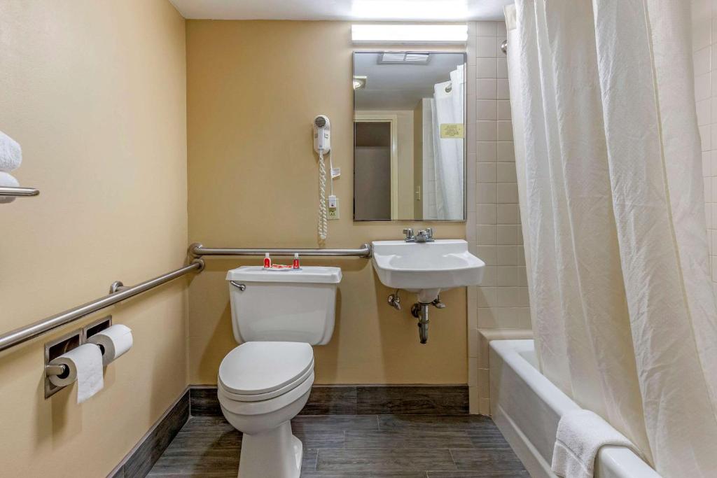 Econo Lodge & Suites Southern Pines - image 5