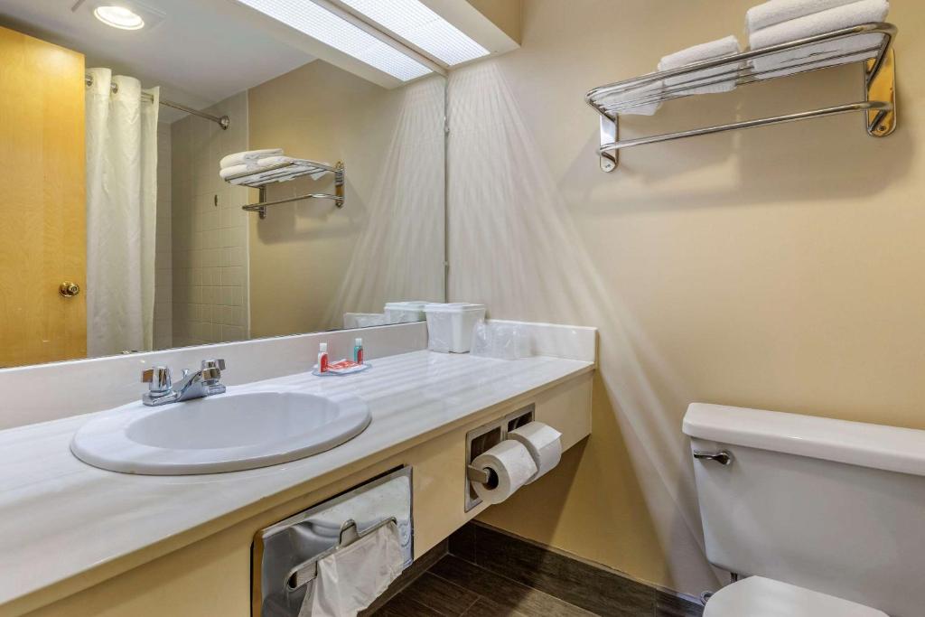 Econo Lodge & Suites Southern Pines - image 7