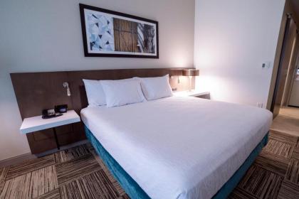 Hilton Garden Inn Spartanburg Sc - image 15