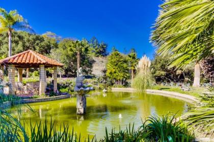 Vineyard Hacienda - image 3