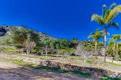 Vineyard Hacienda - image 6