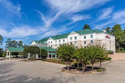 Hilton Garden Inn Houstonthe Woodlands