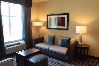 Homewood Suites by Hilton North Houston/Spring - image 10