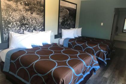 Super 8 by Wyndham Spring/North Houston - image 11