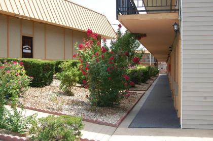 Executive Inn and Suites Springdale - image 13
