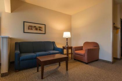 Comfort Suites Springfield RiverBend Medical - image 13