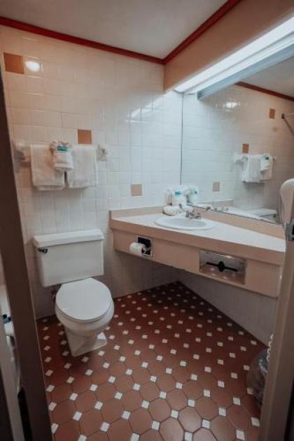 Lamplighter Inn and Suites - North - image 5