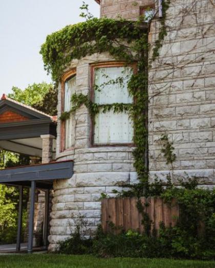 The Mansion at Elfindale - image 3