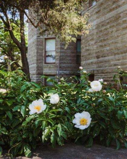 The Mansion at Elfindale - image 5
