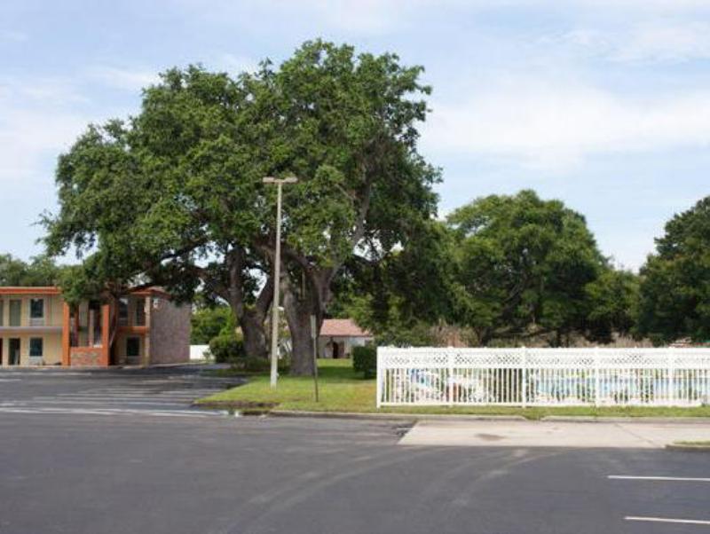 Southern Oaks Inn - Saint Augustine - main image