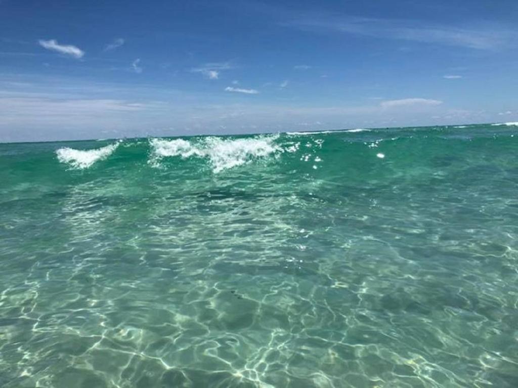 St Pete Vacation Rentals - image 2
