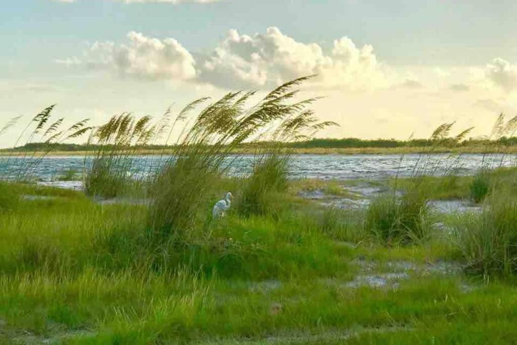 St Pete Vacation Rentals - image 7