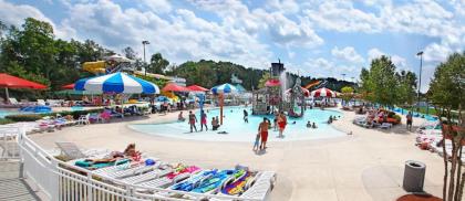 Holiday Inn Statesboro-University Area an IHG Hotel - image 10