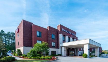 SpringHill Suites Statesboro University Area - image 11