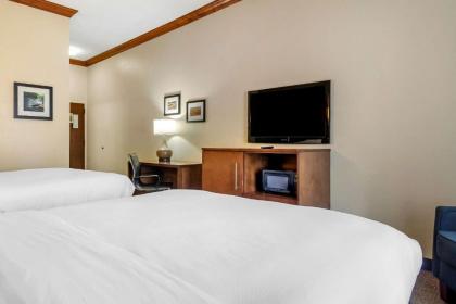 Comfort Inn & Suites Statesboro - University Area - image 10