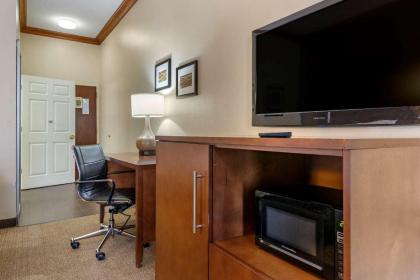 Comfort Inn & Suites Statesboro - University Area - image 11