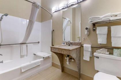 Comfort Inn & Suites Statesboro - University Area - image 12