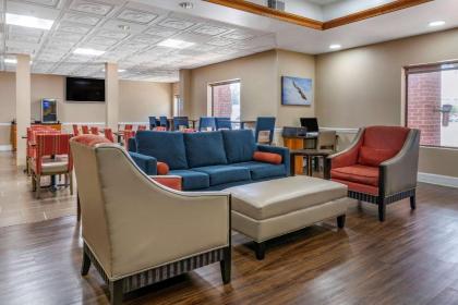 Comfort Inn & Suites Statesboro - University Area - image 4