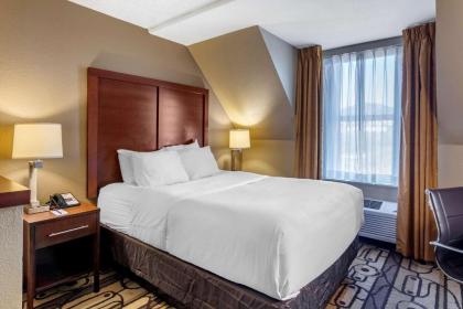 Comfort Inn & Suites - image 9