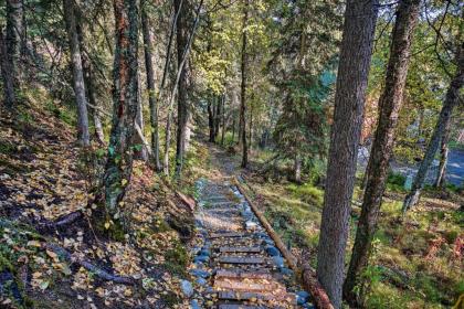 Sterling Cabin with Fire Pit and Kenai River Views! - image 5