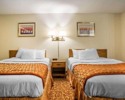 Econo Lodge Inn & Suites Stevens Point - image 7