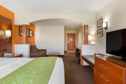 Comfort Suites Stevensville – St. Joseph - image 10