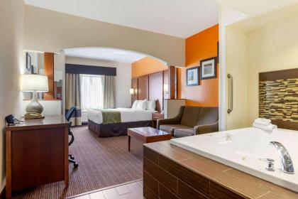 Comfort Suites Stevensville – St. Joseph - image 11
