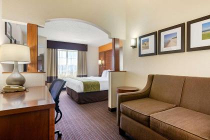 Comfort Suites Stevensville – St. Joseph - image 12